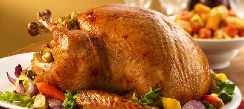 Award Winning Appledore Turkey - Medium